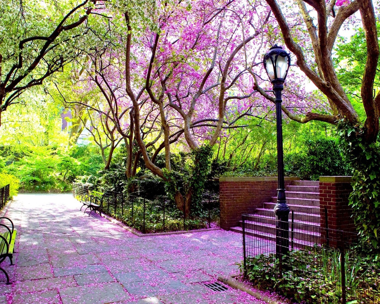 Зеленый парк с фонарем