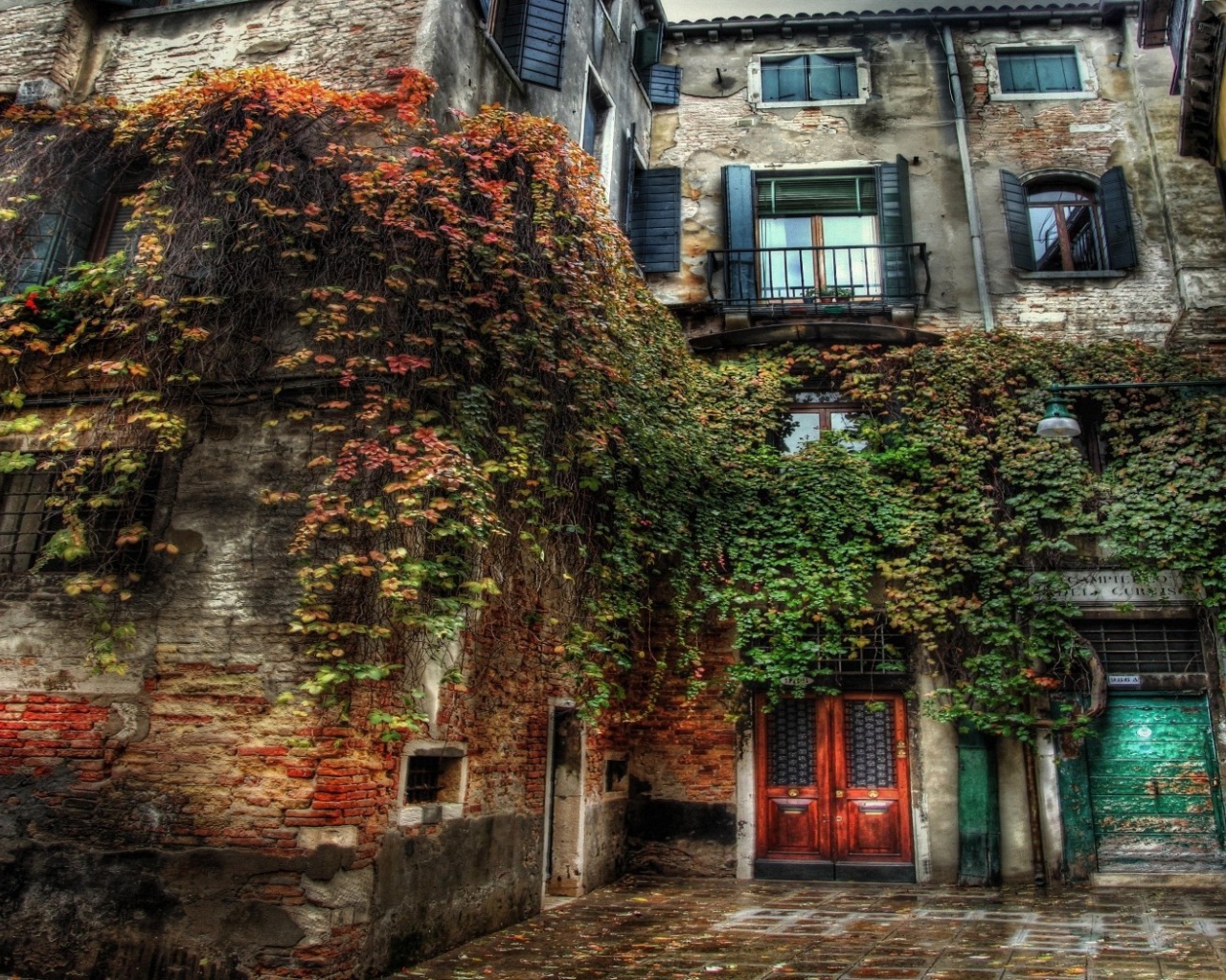 Старый дом заросший травой