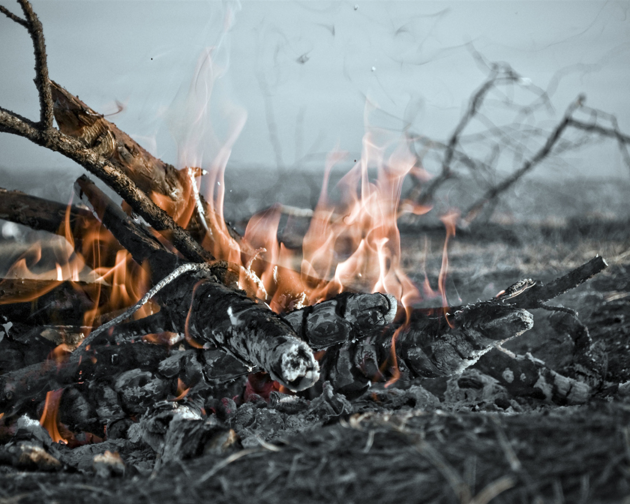 Огонь костра