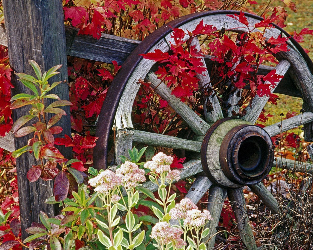 Колесо от старой телеги
