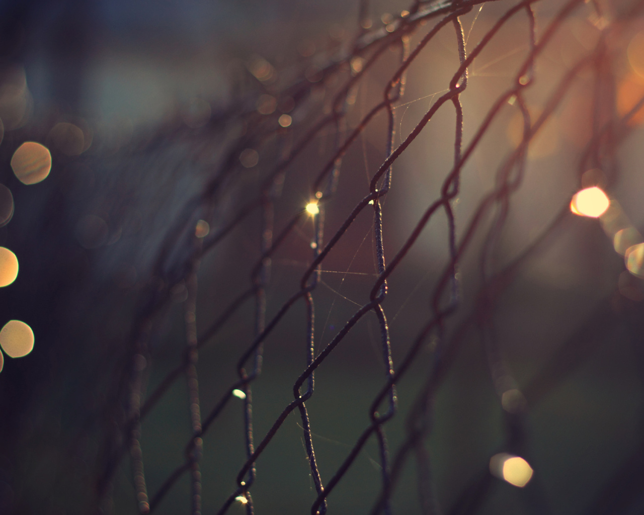 Проволочный забор