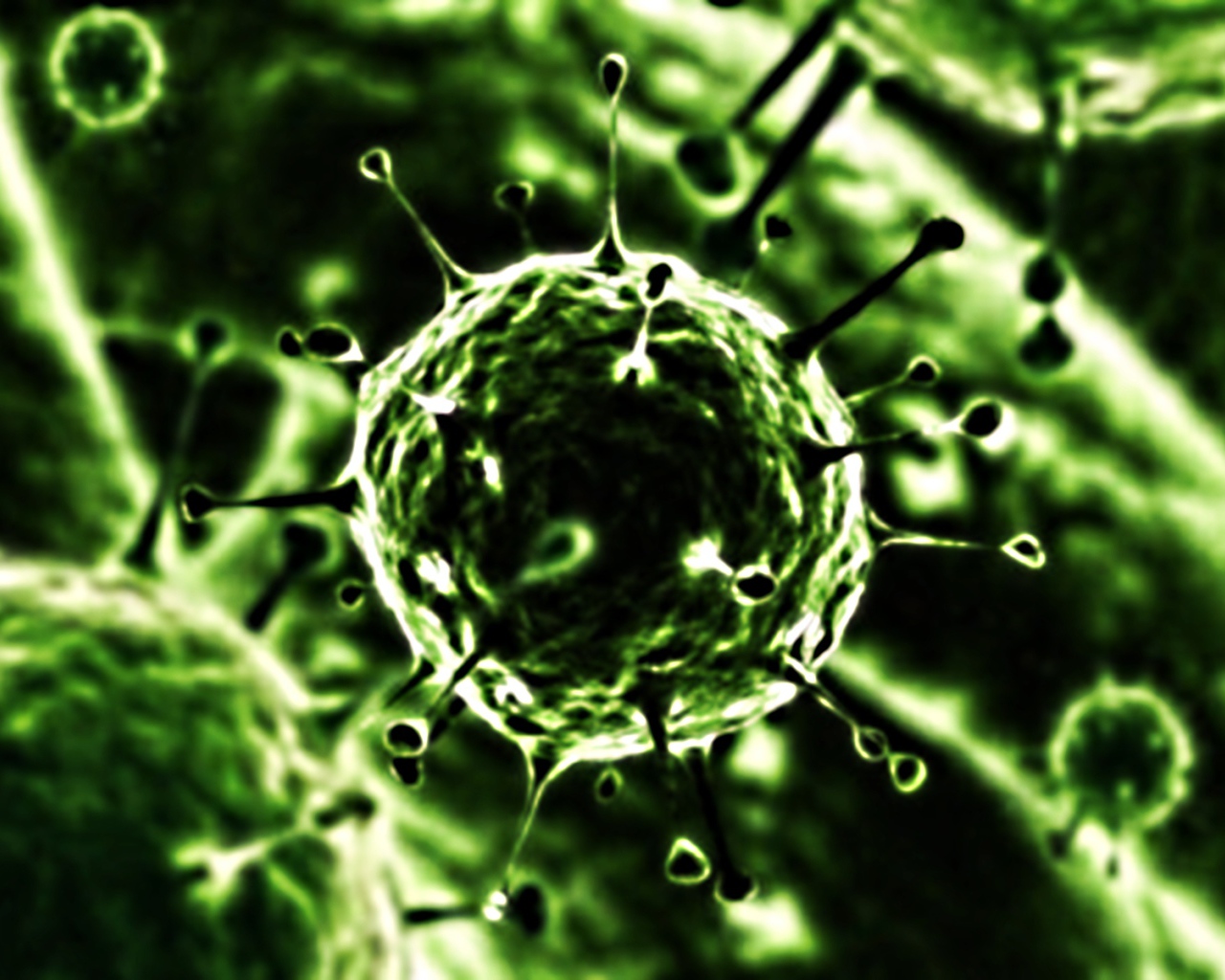 Вирус под микроскопом