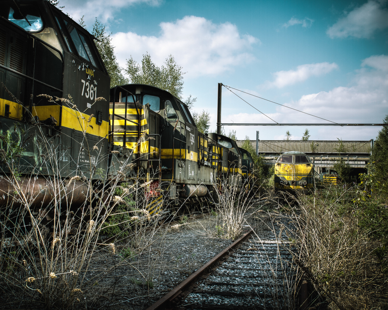 Старая заросшая травой железная дорога