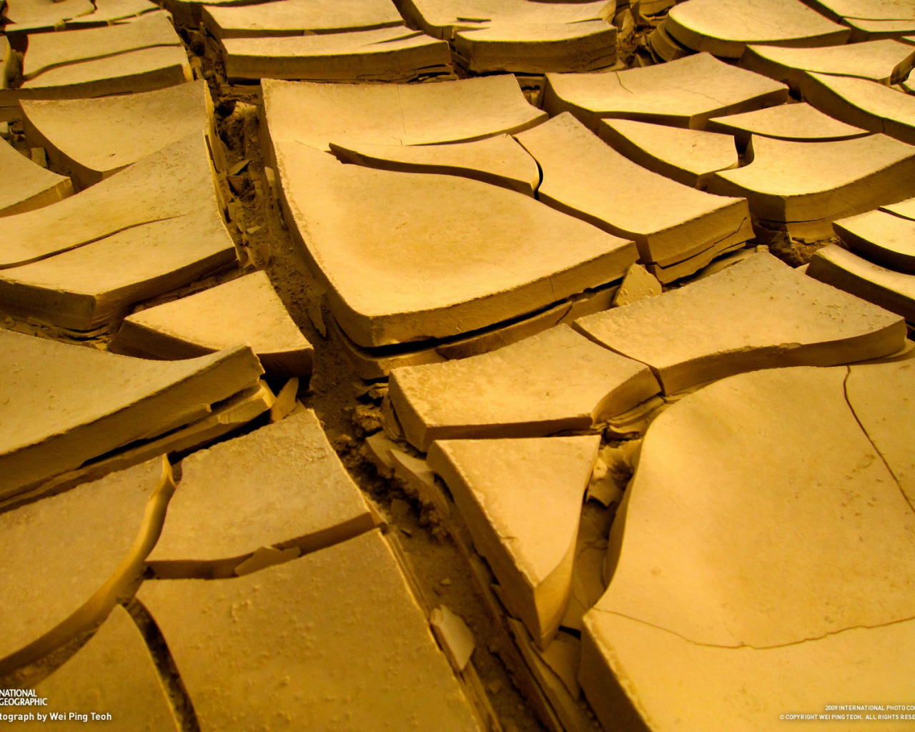 Высохшая земля