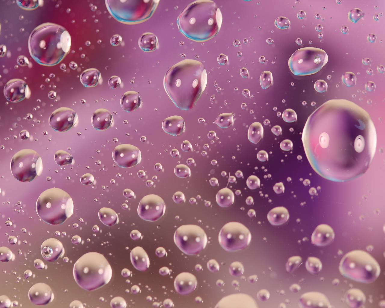 Розовые капли воды