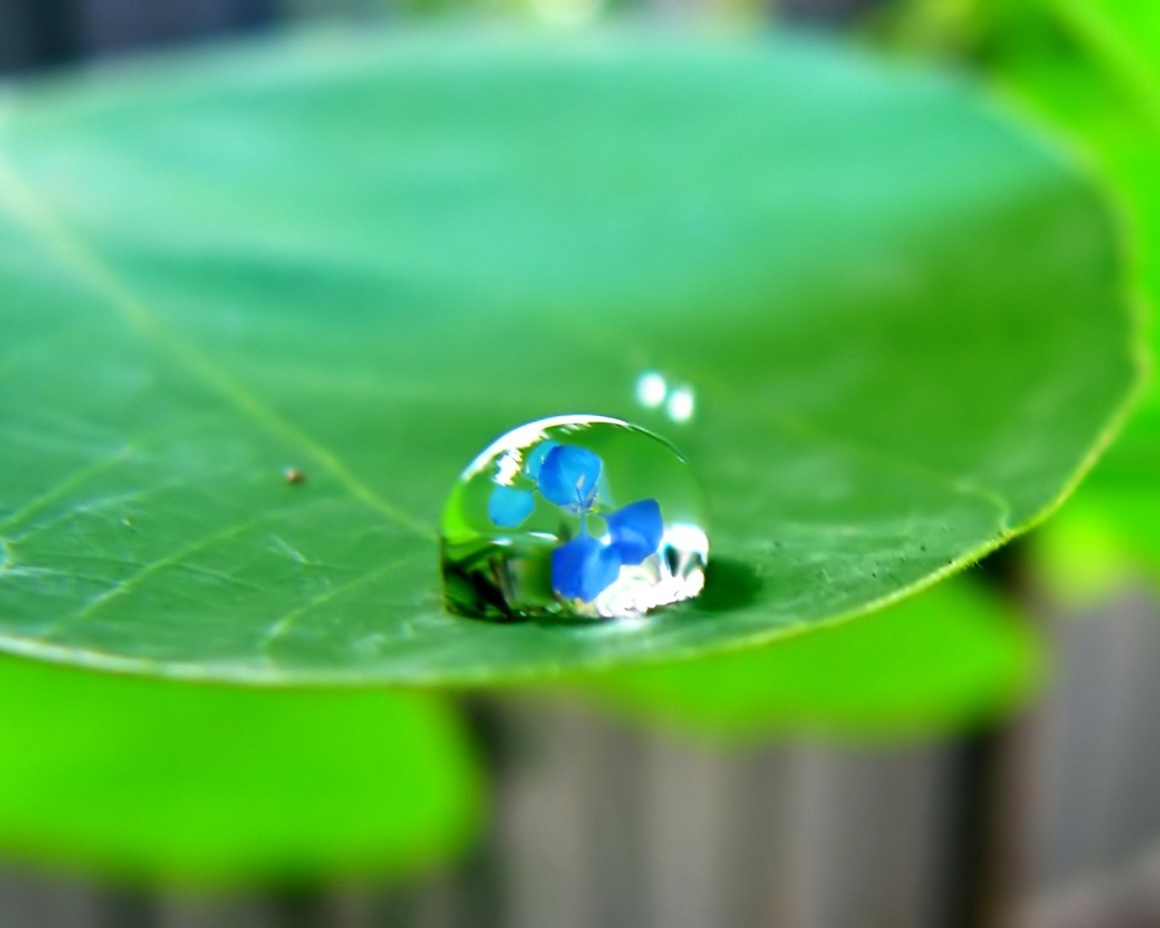 Отражение в капле воды