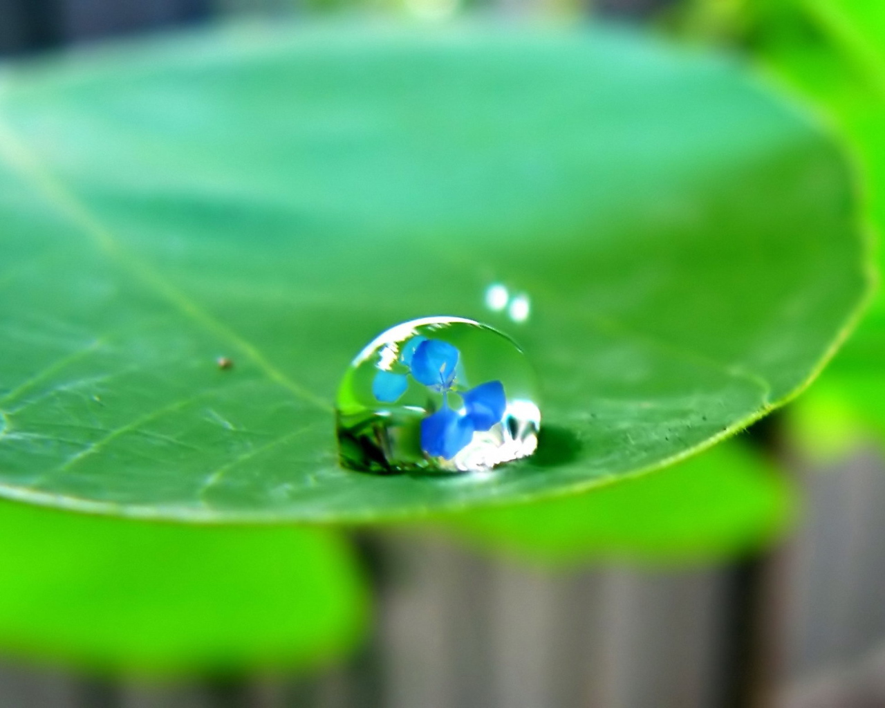 Отражение в капле