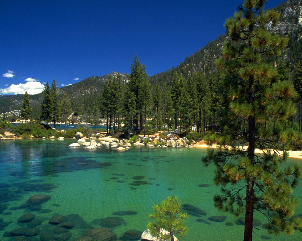 Ели среди озер