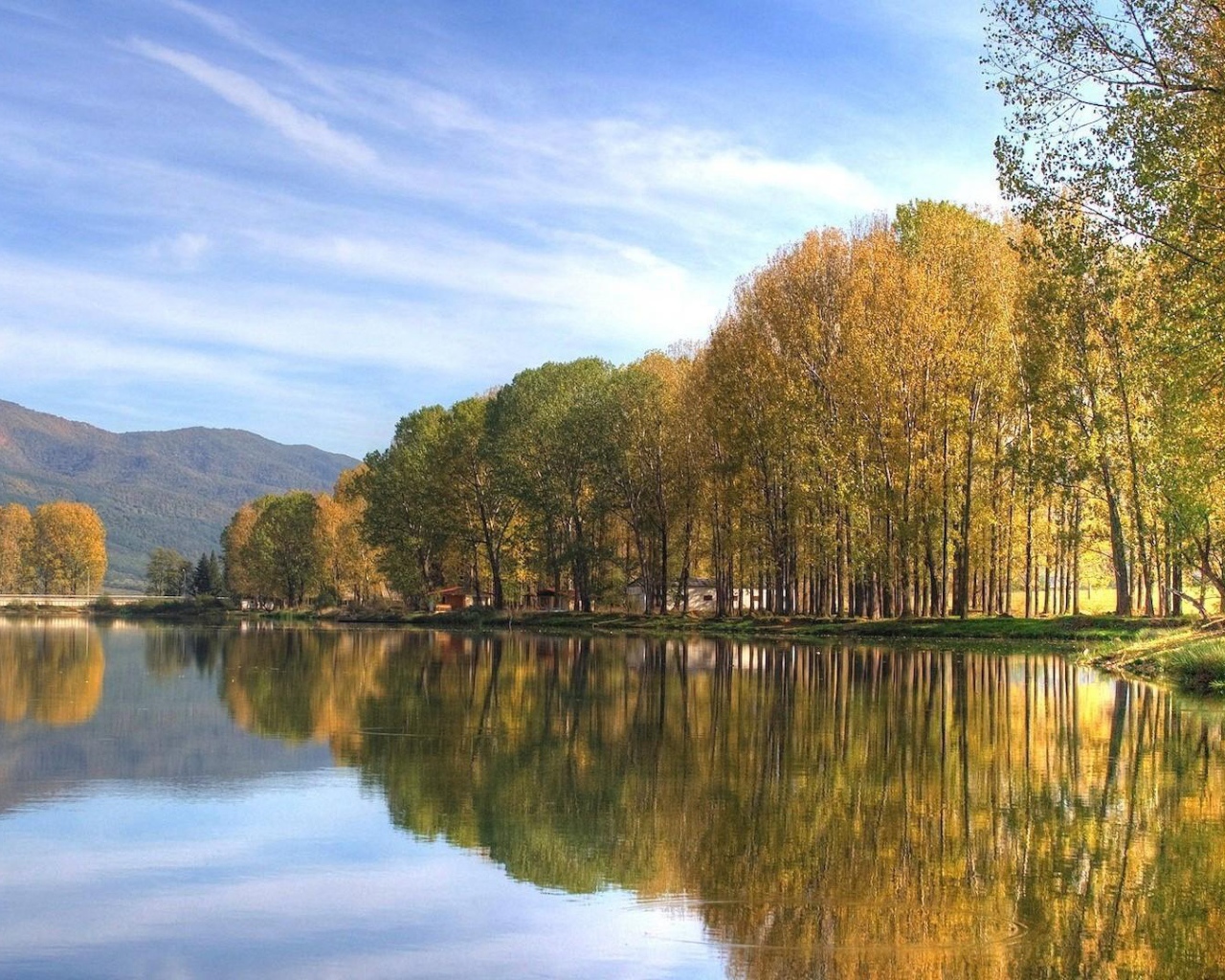 Осенний лес на берегу озера