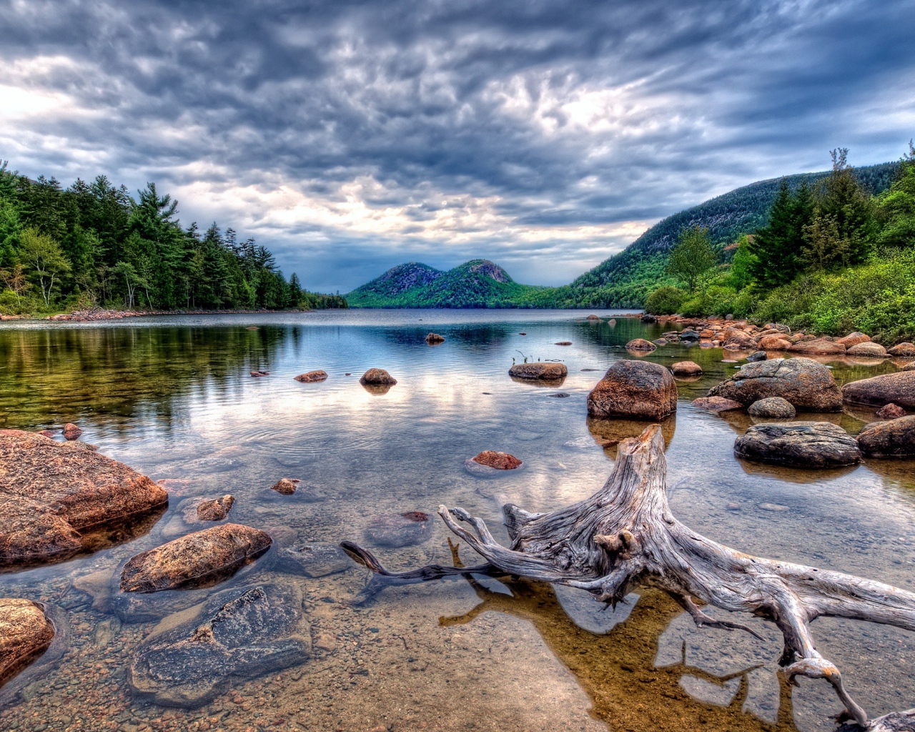 Красивое дикое озеро