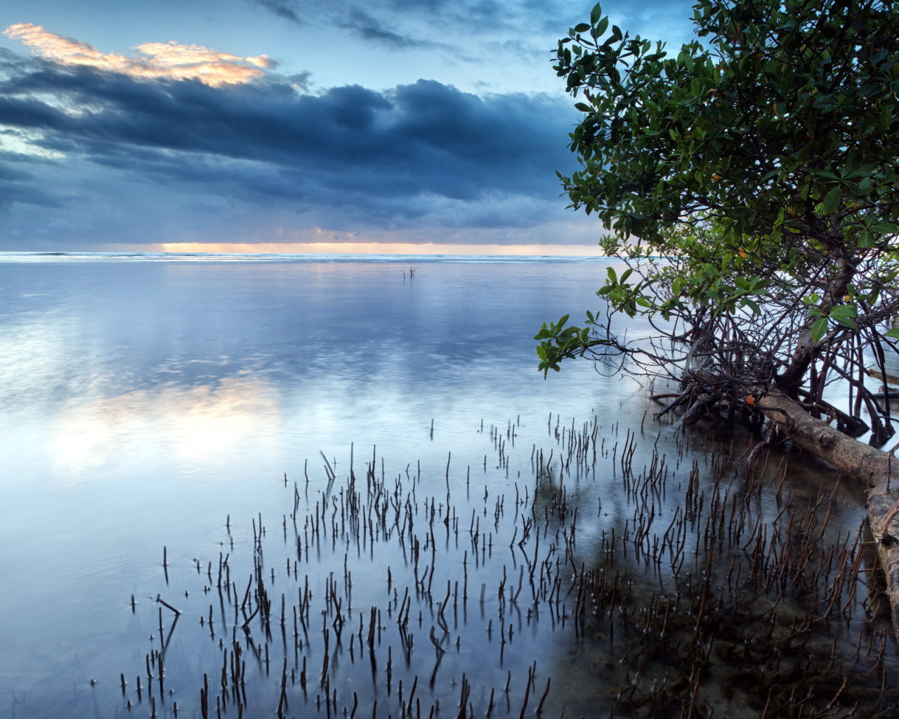 Темные облака над озером