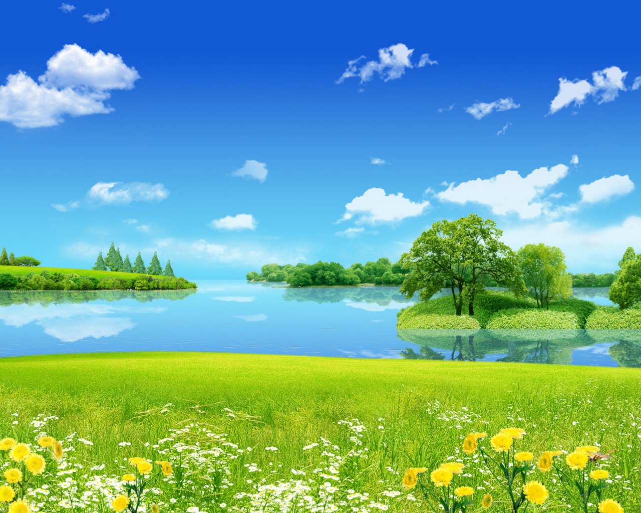 Цветы на лугу у озера