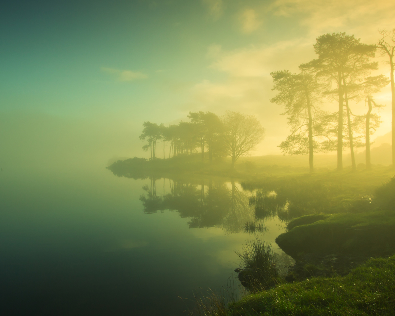 Туман на берегу озера