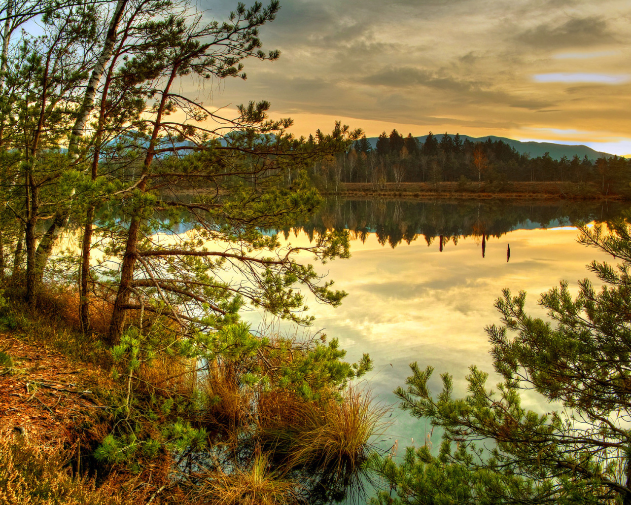 Лесное озеро на закате