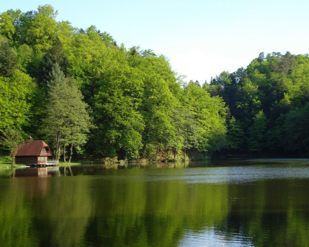 Лесной домик на берегу озера