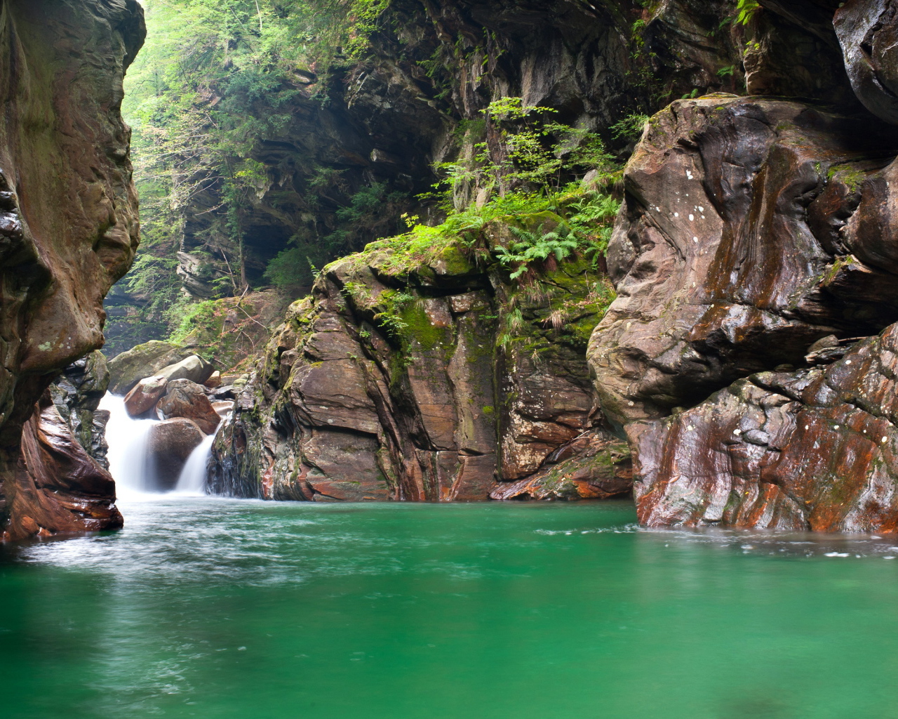 Зеленая вода в реке