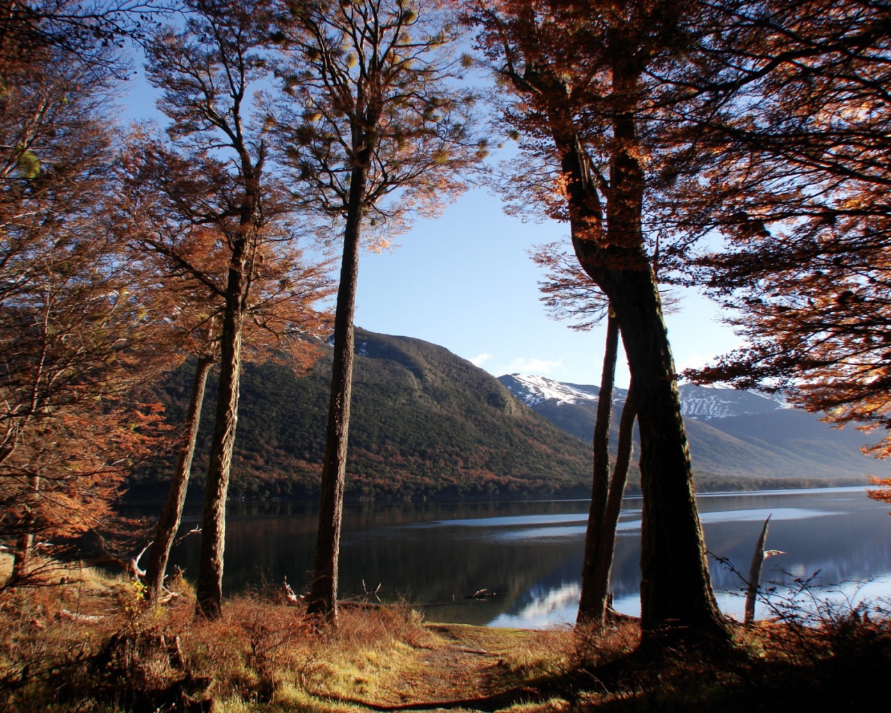 Озеро в осеннем лесу