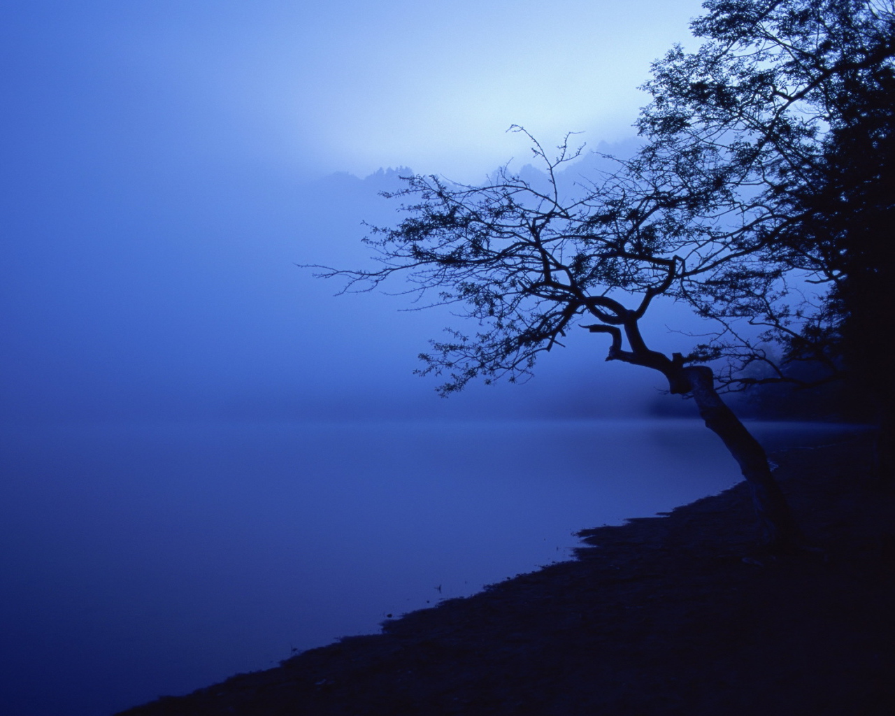 Озеро в синем тумане
