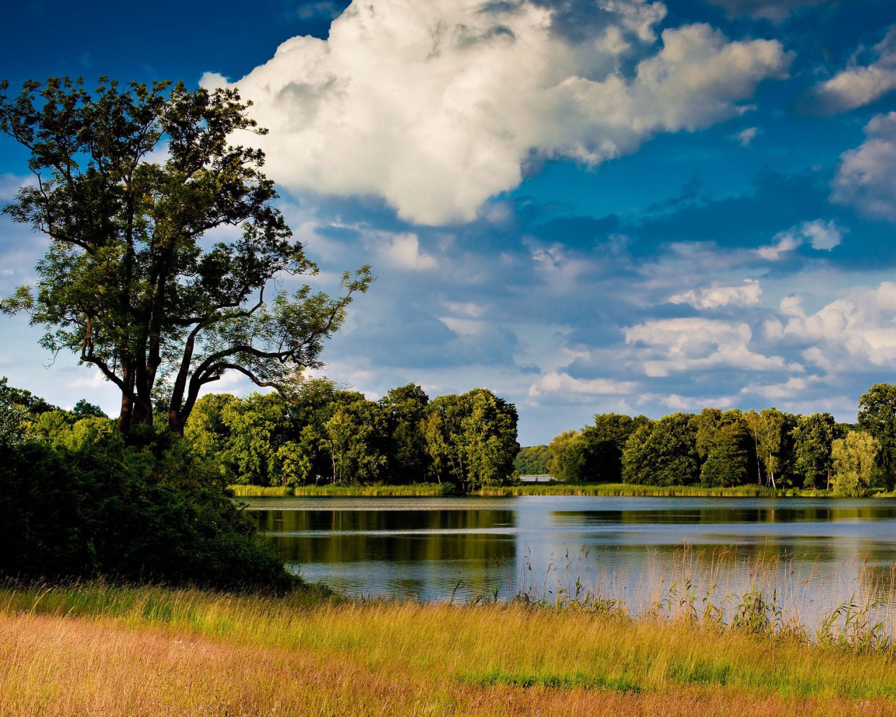 Озеро среди лугов