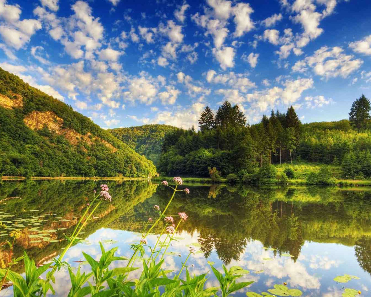 Озеро среди лесистых холмов