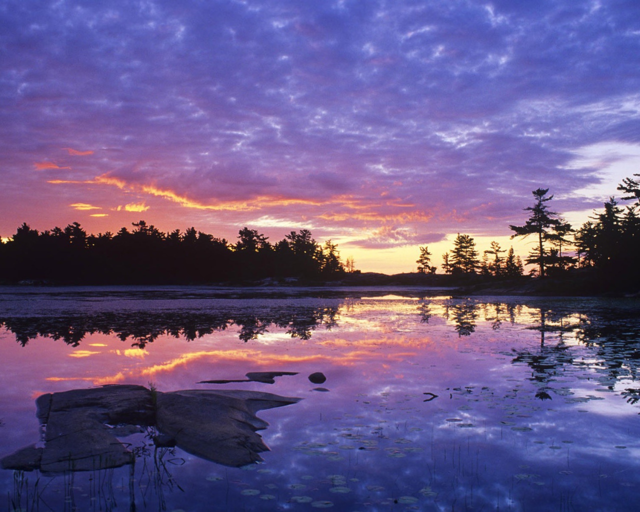 Заросшее озеро на закате