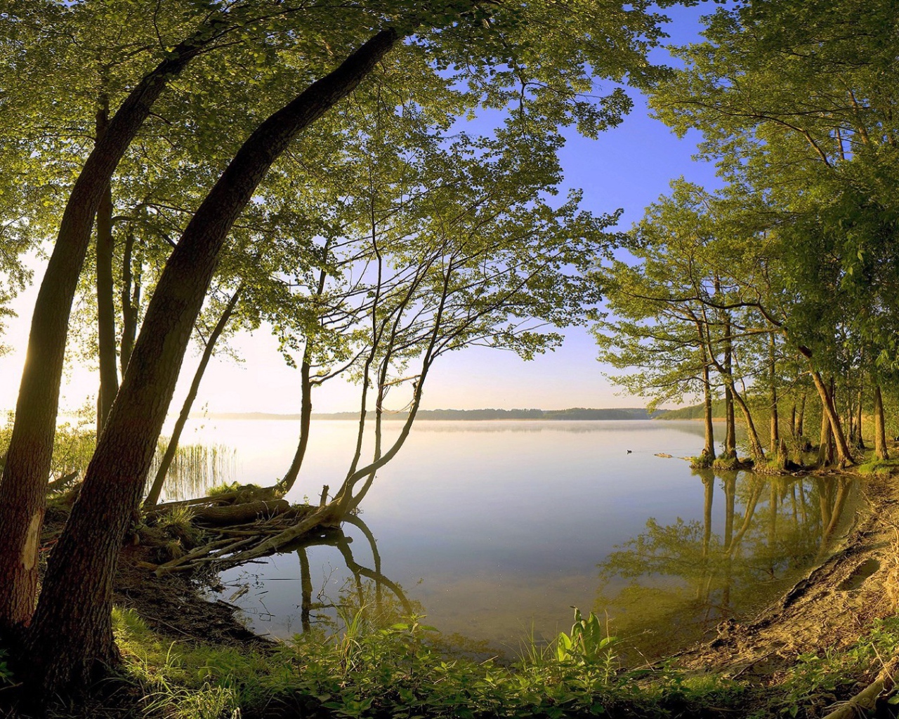 Тихое лесное озеро