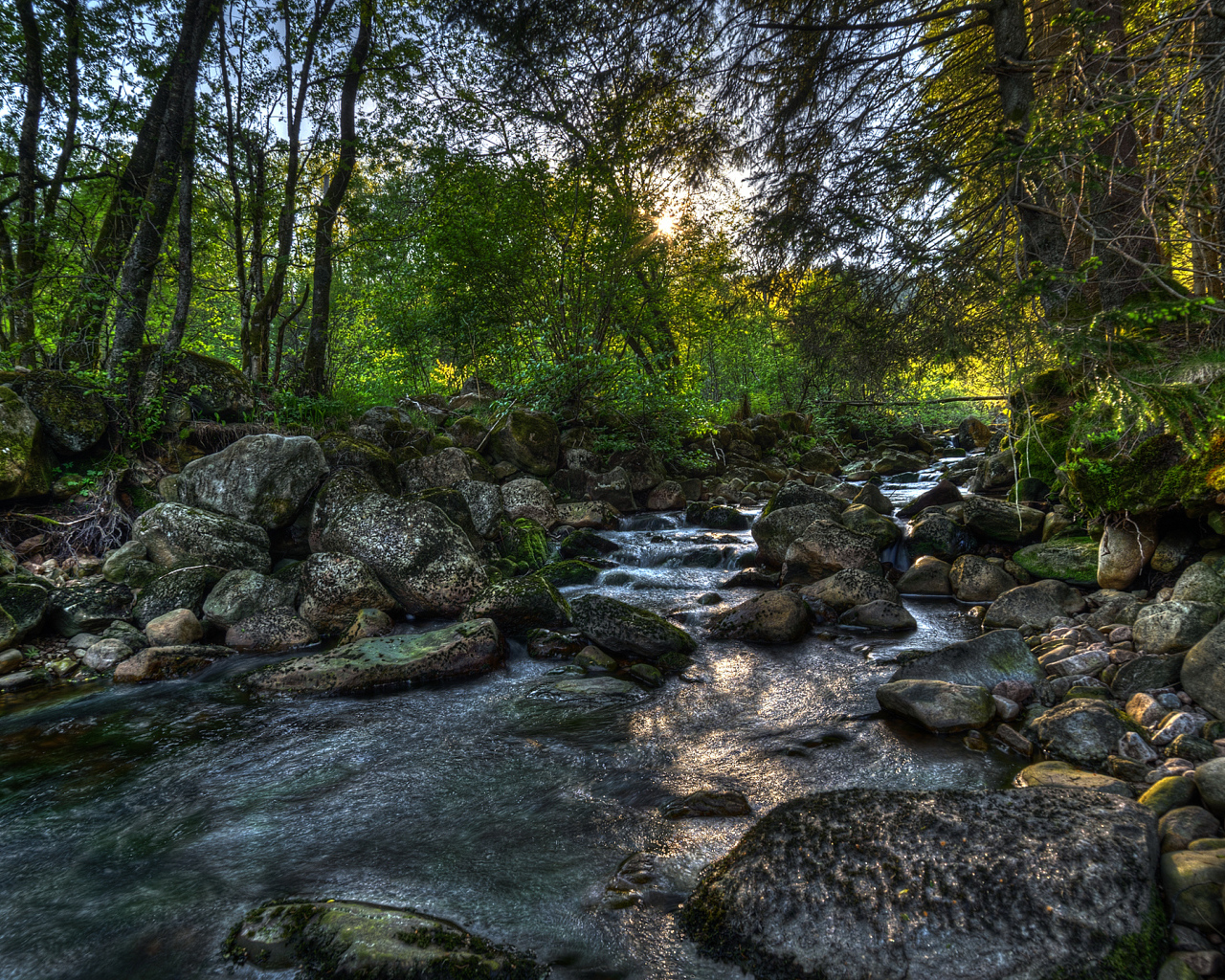 Река в Норвегии