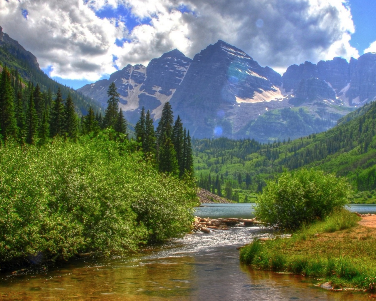 Река в зеленых зарослях