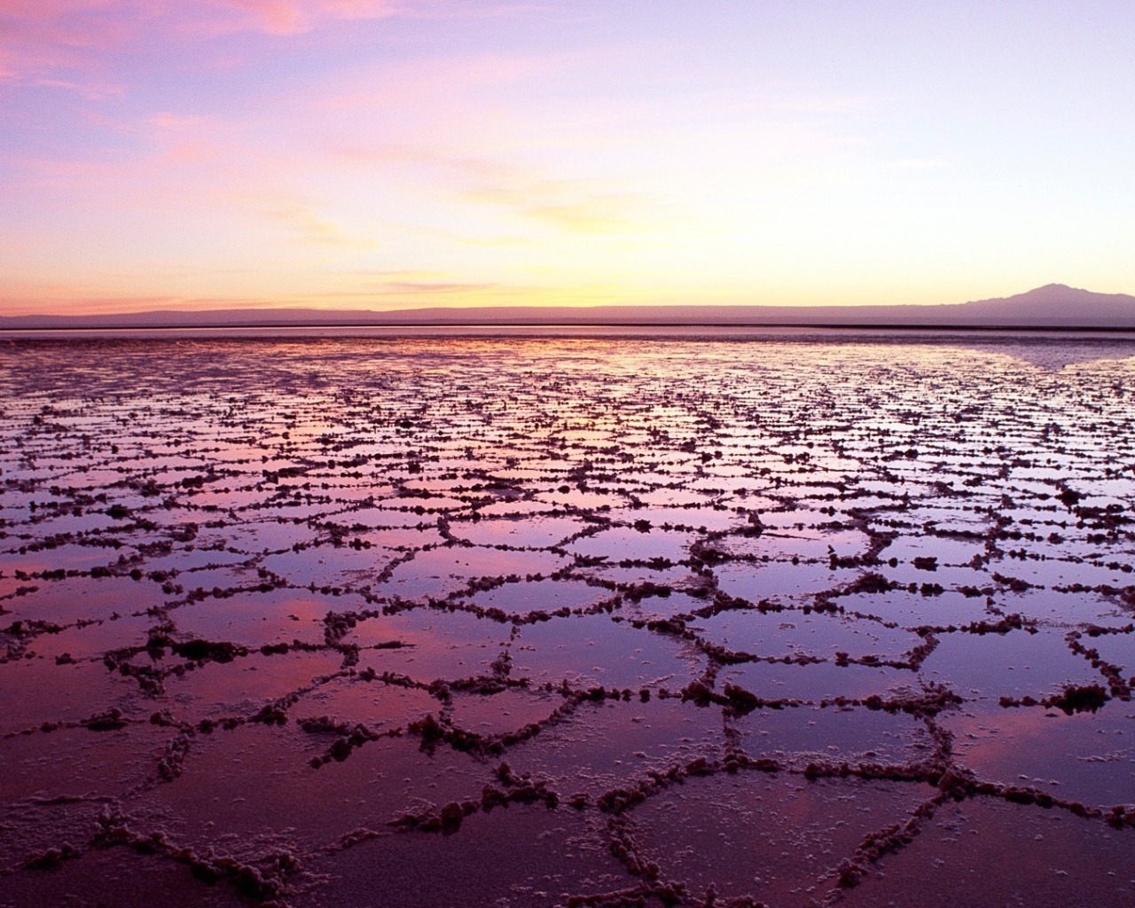 Соленое озеро в Чили 