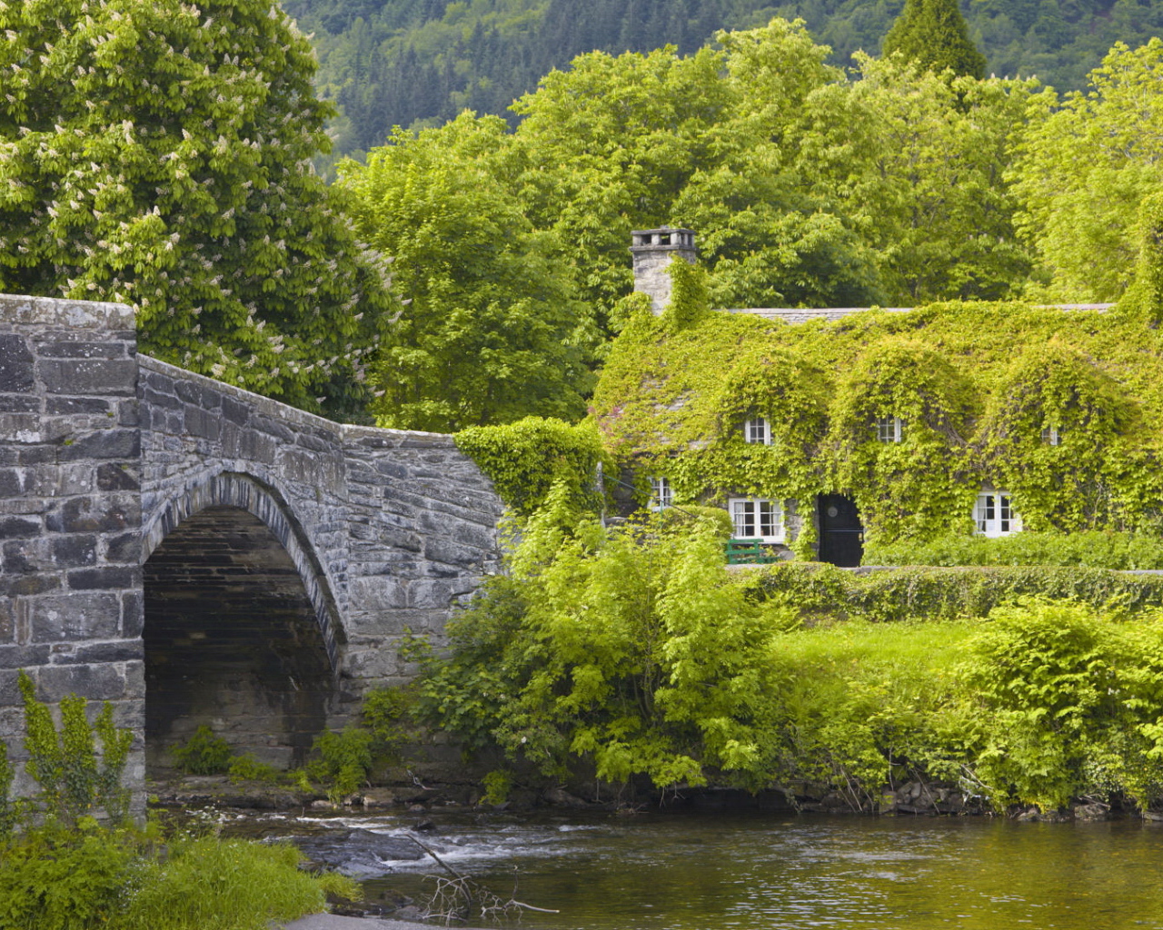 Каменный мост и дом