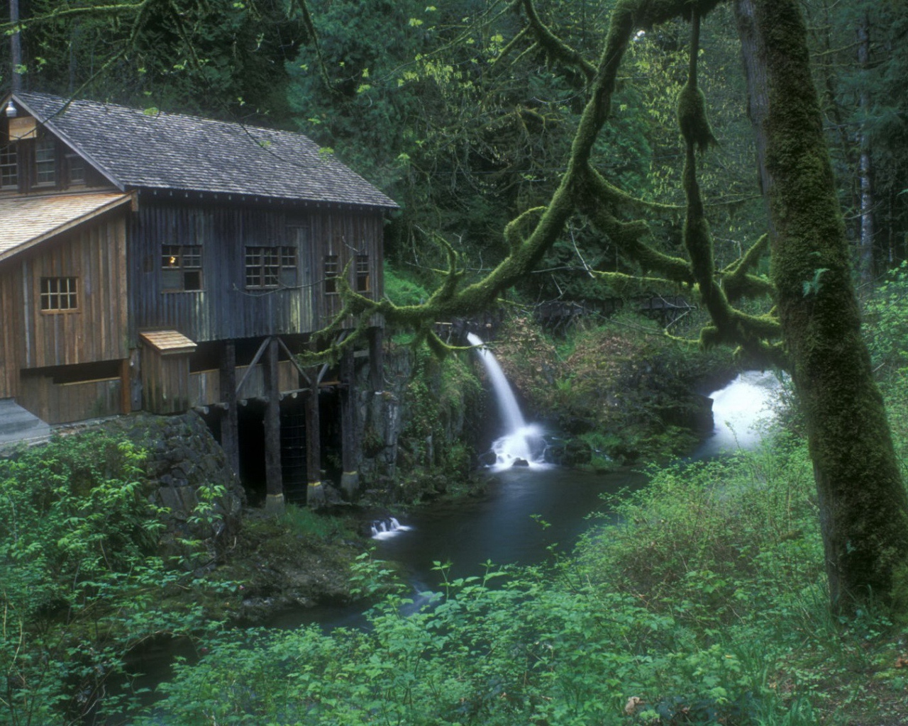 Плотина на реке в лесу