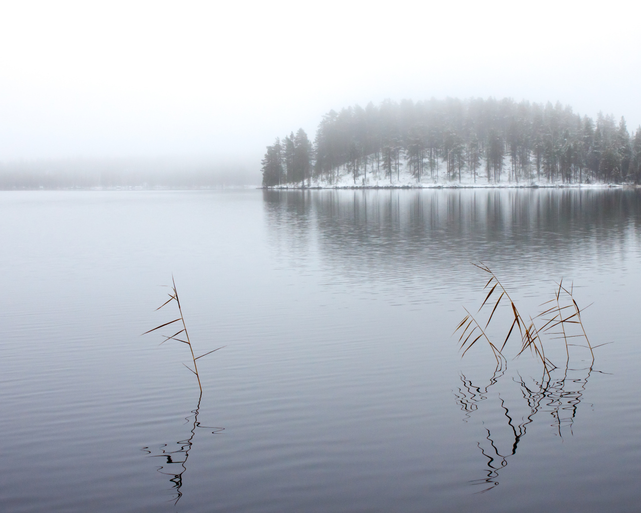 Зимнее озеро в тумане