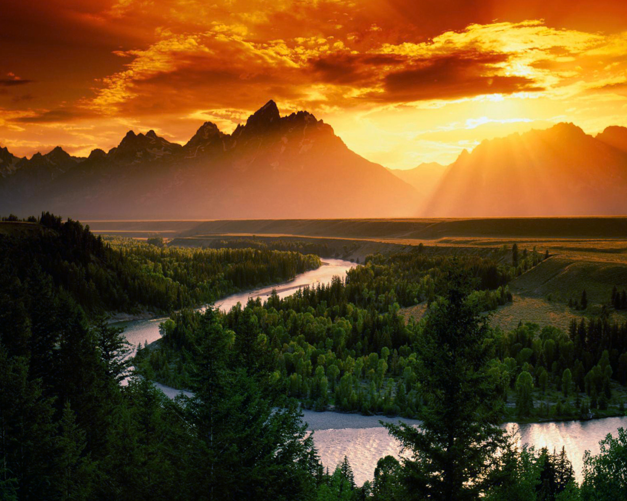 Лес река и горы