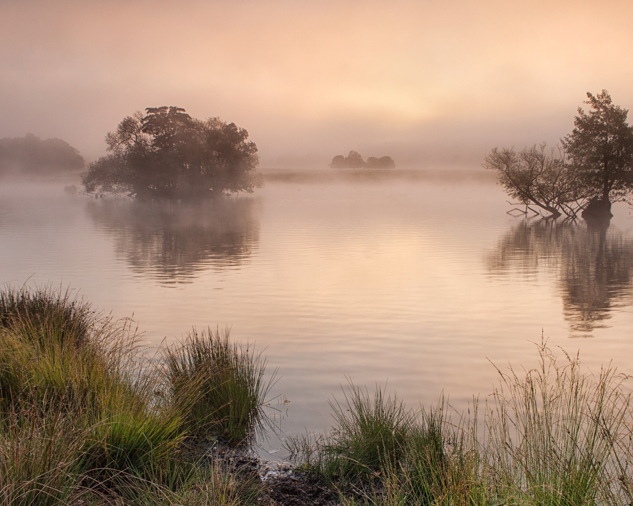 Утро в Англии