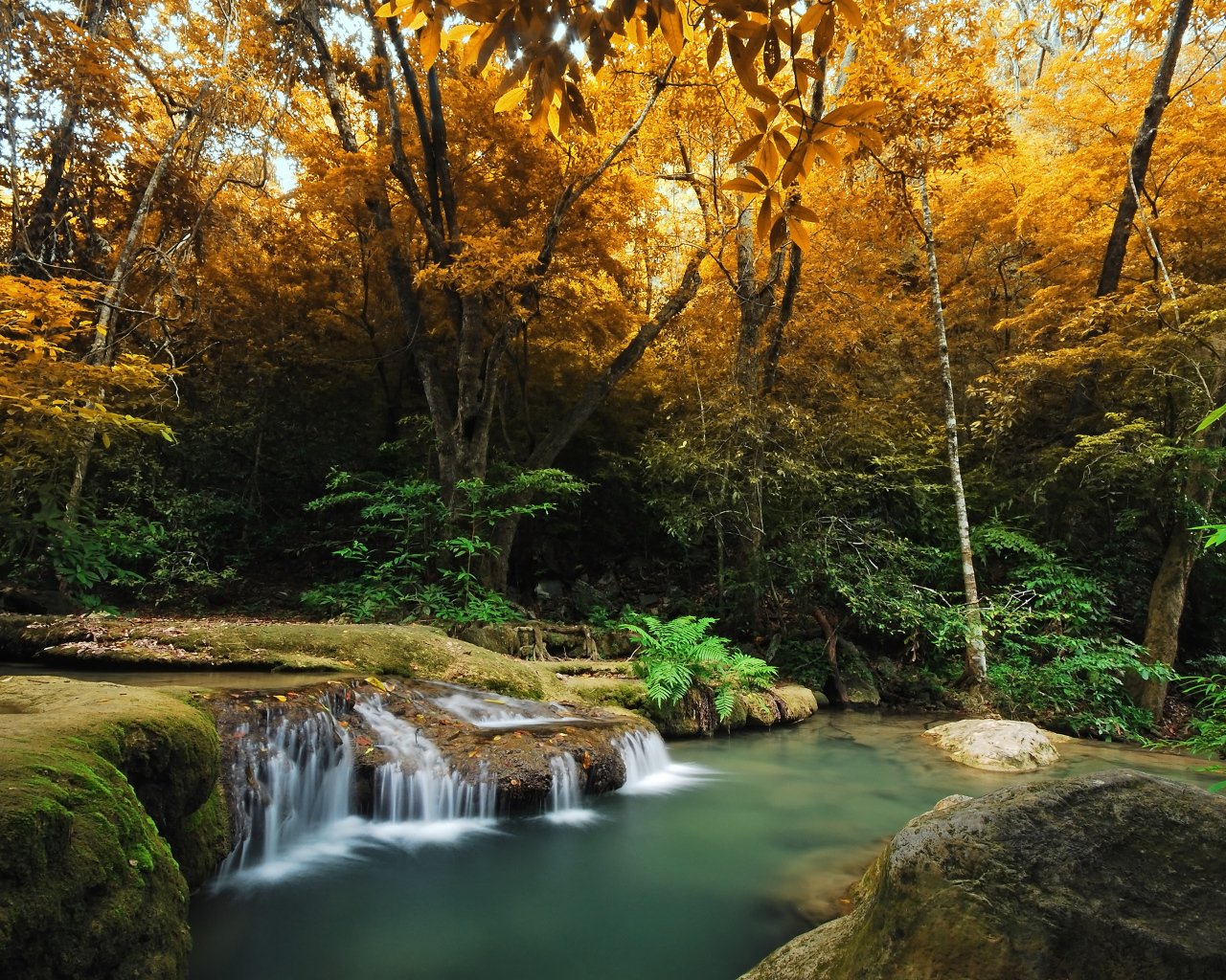 Река в лесу