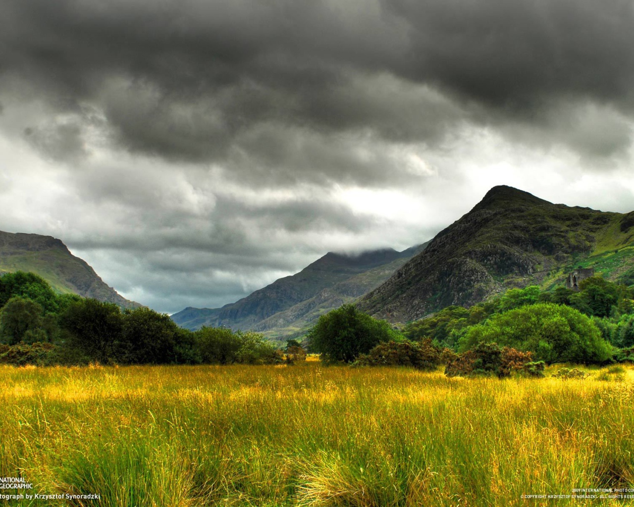 Болото заросшее травой