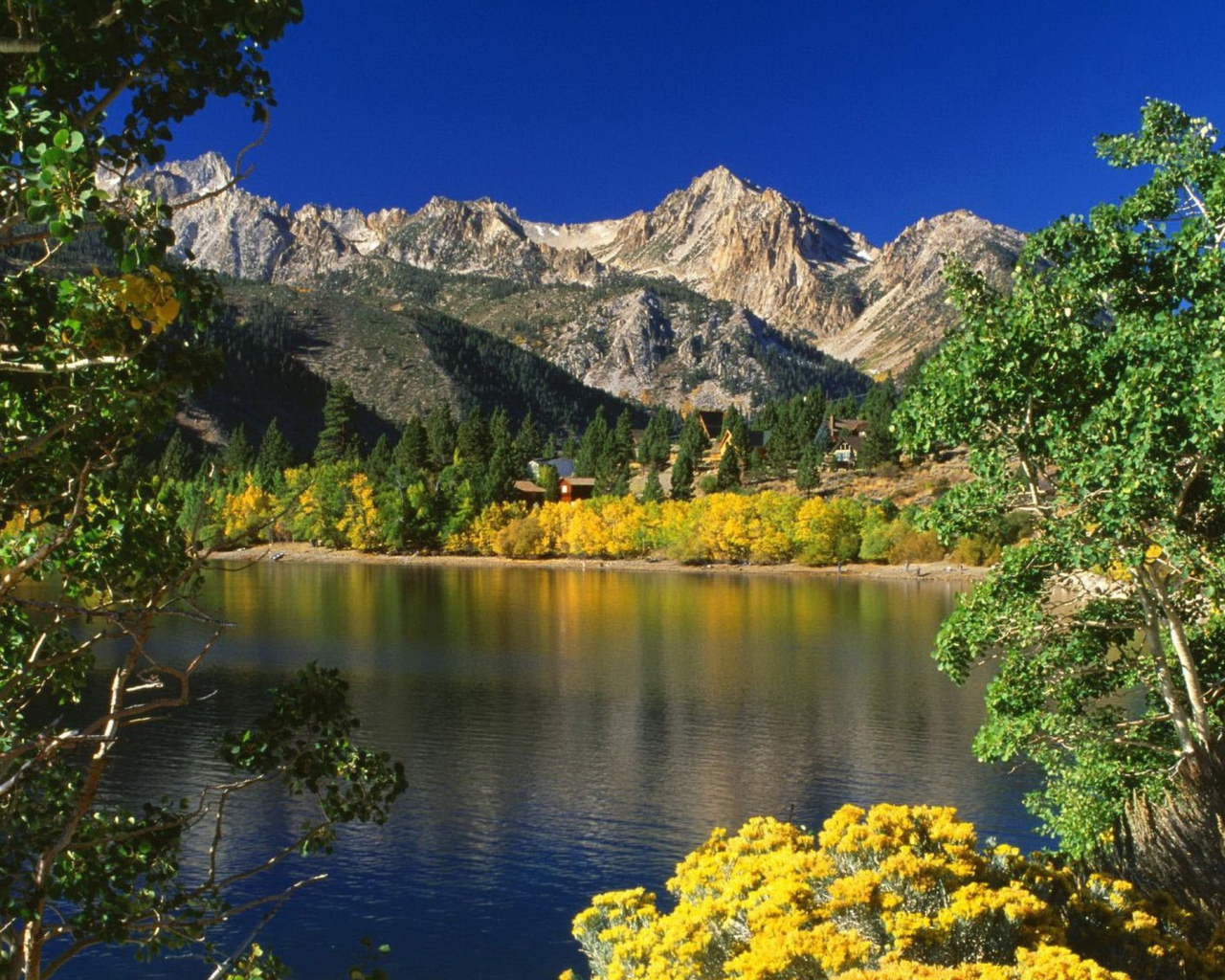 Озеро и деревья