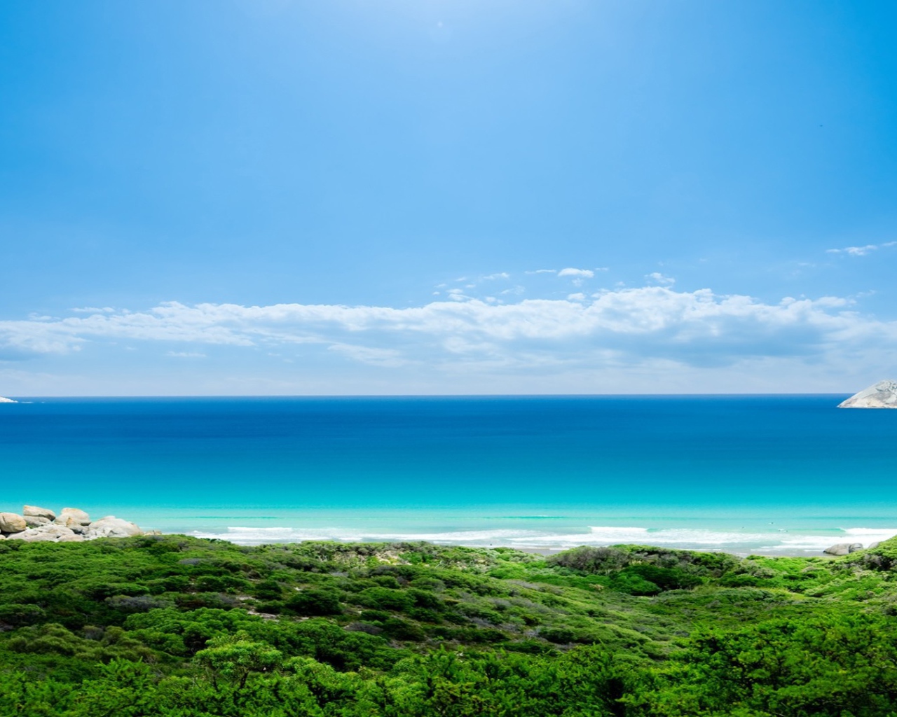 Зеленый берег и голубое море