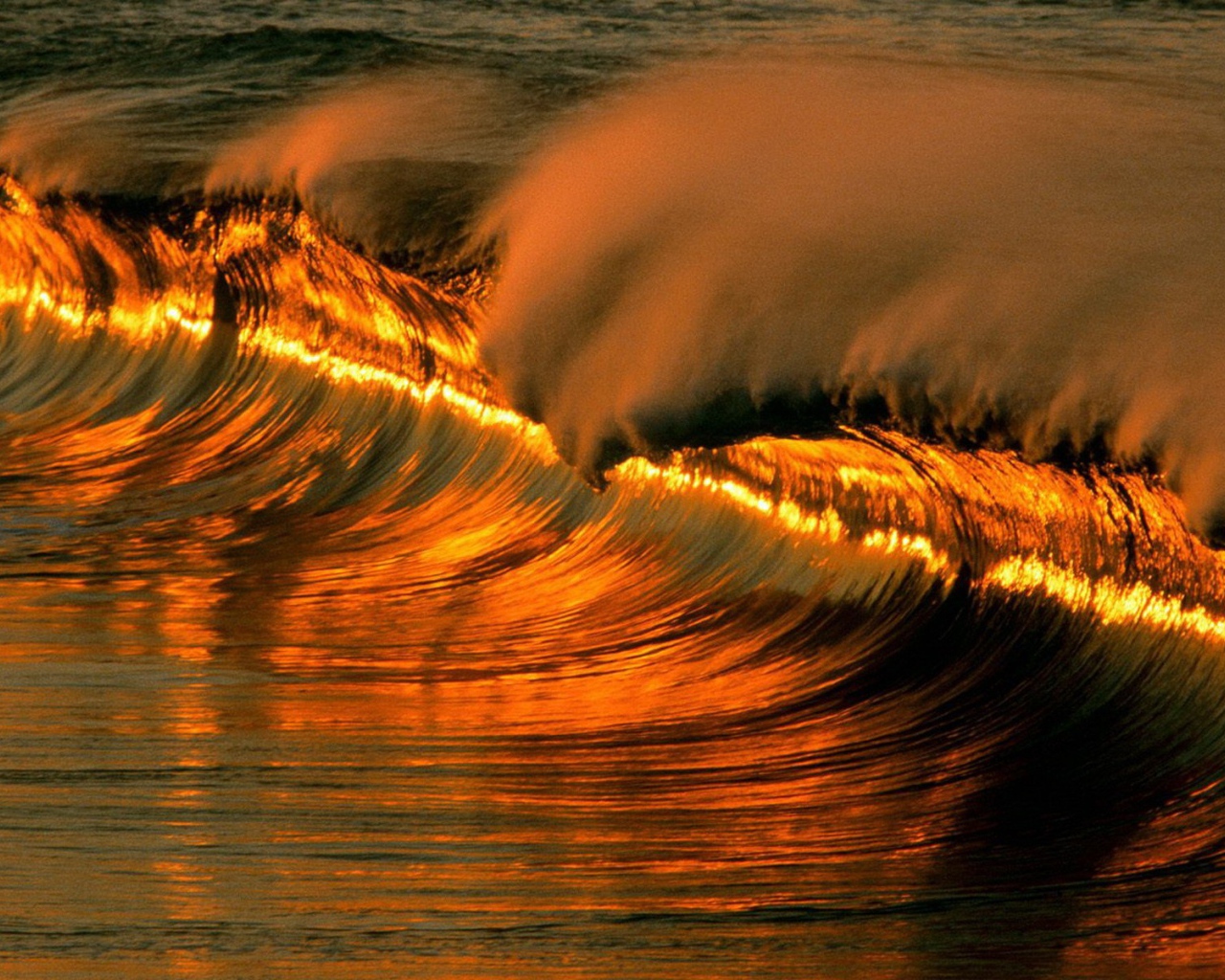 Солнце отражается в волне