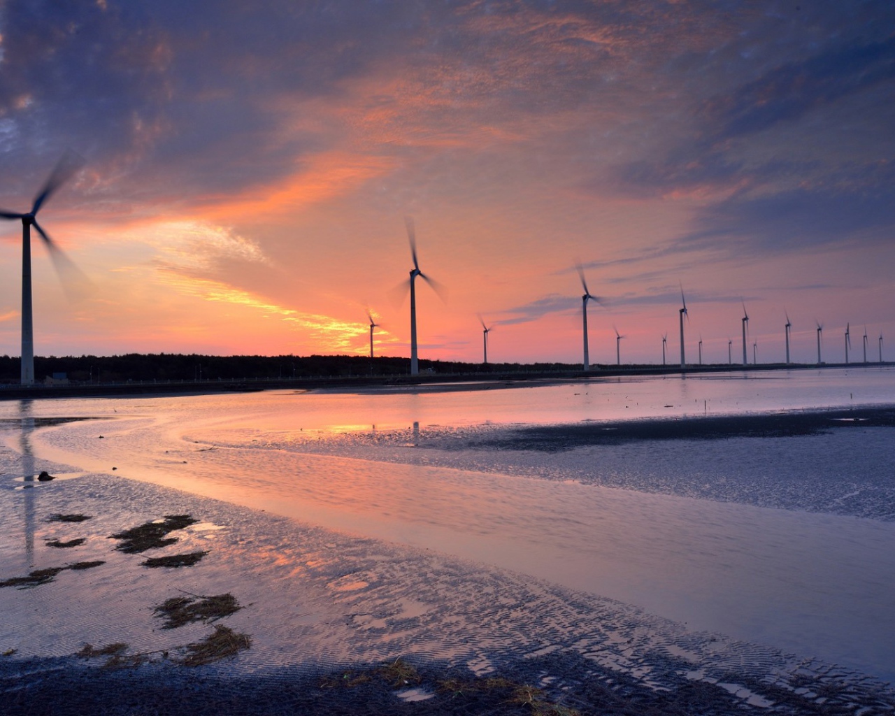 Ветряки на побережье