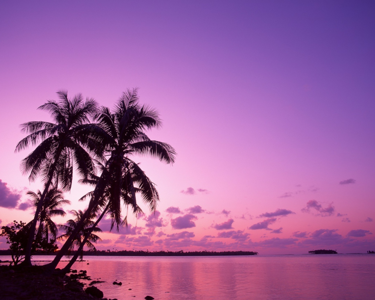 Сиреневый вечер