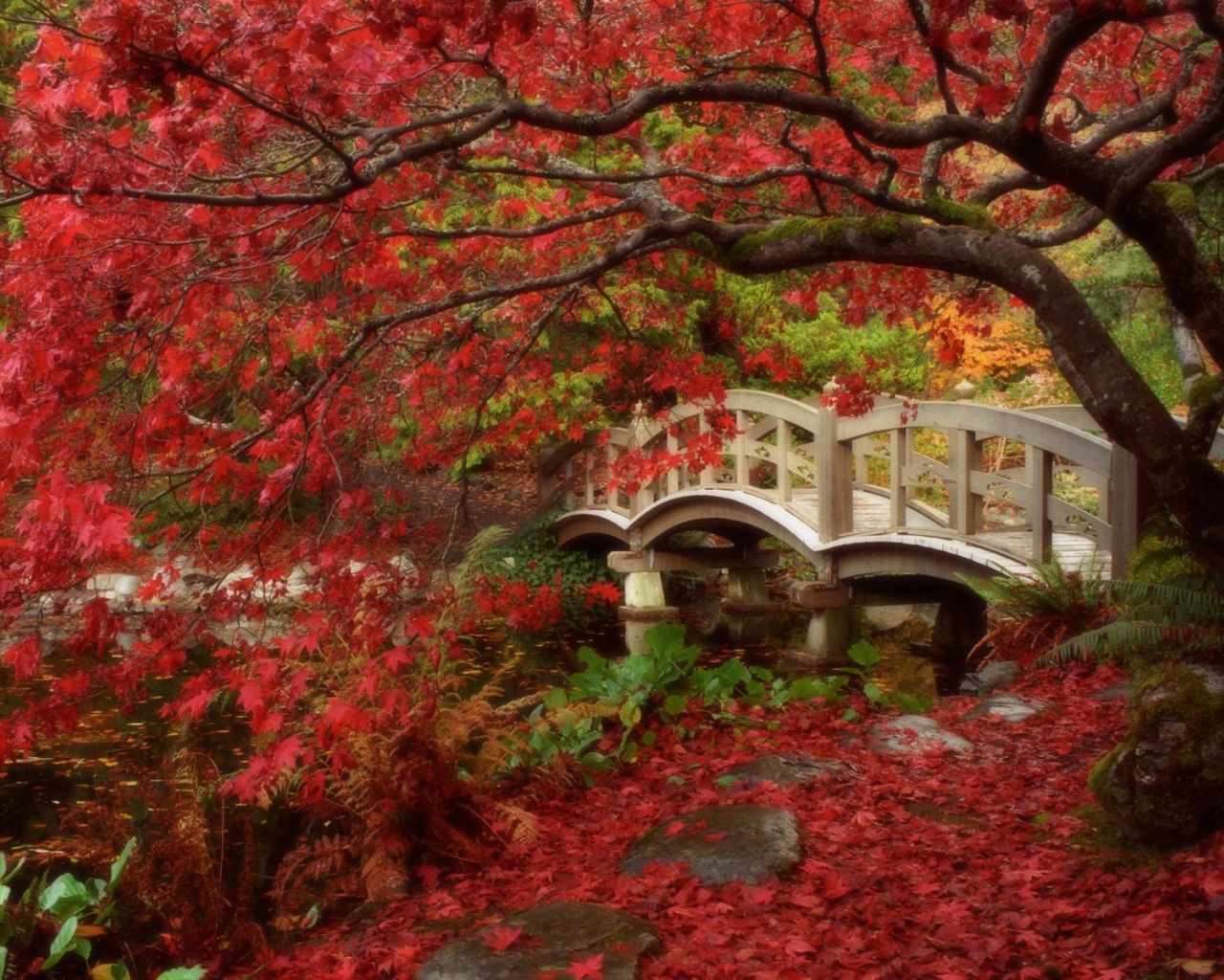Мост в осеннем парке