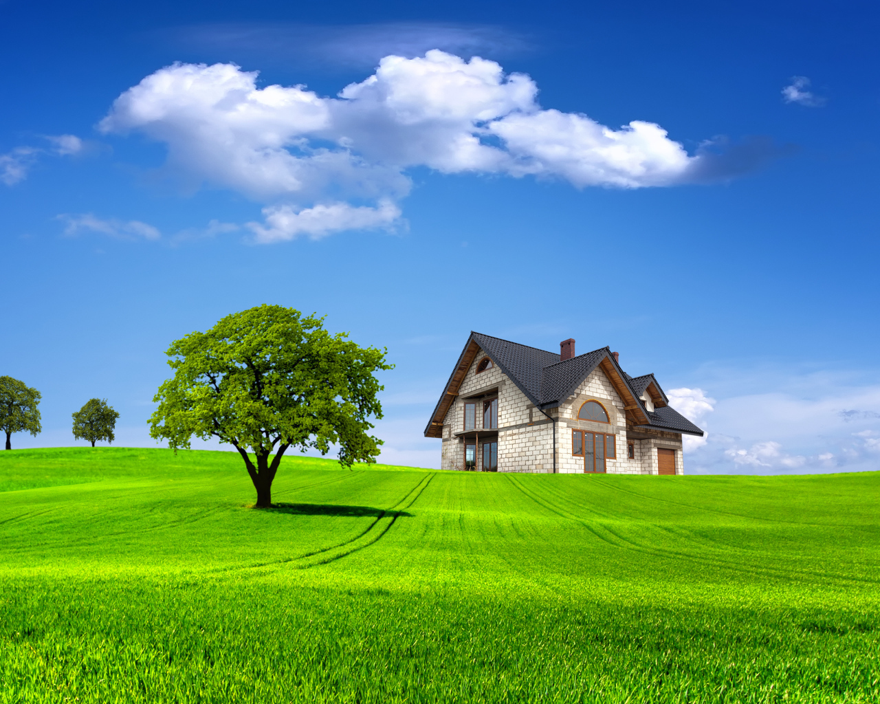 Одинокий дом среди летнего поля