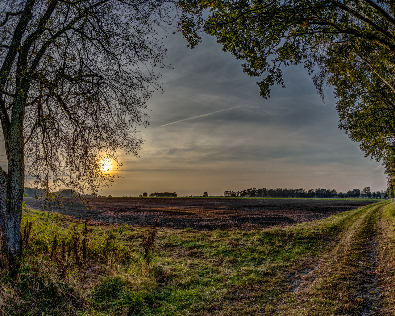 Убранное поле перед закатом
