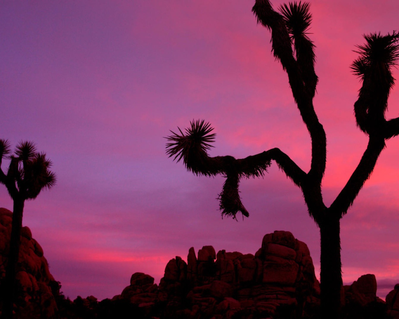 Национальный парк Калифорнии закат солнца
