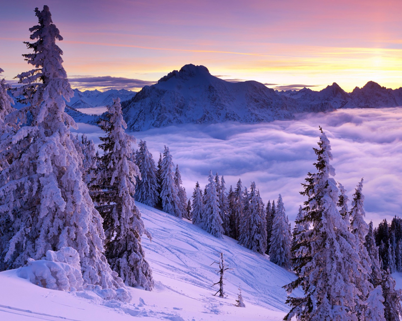 Фиолетовый зимний закат 