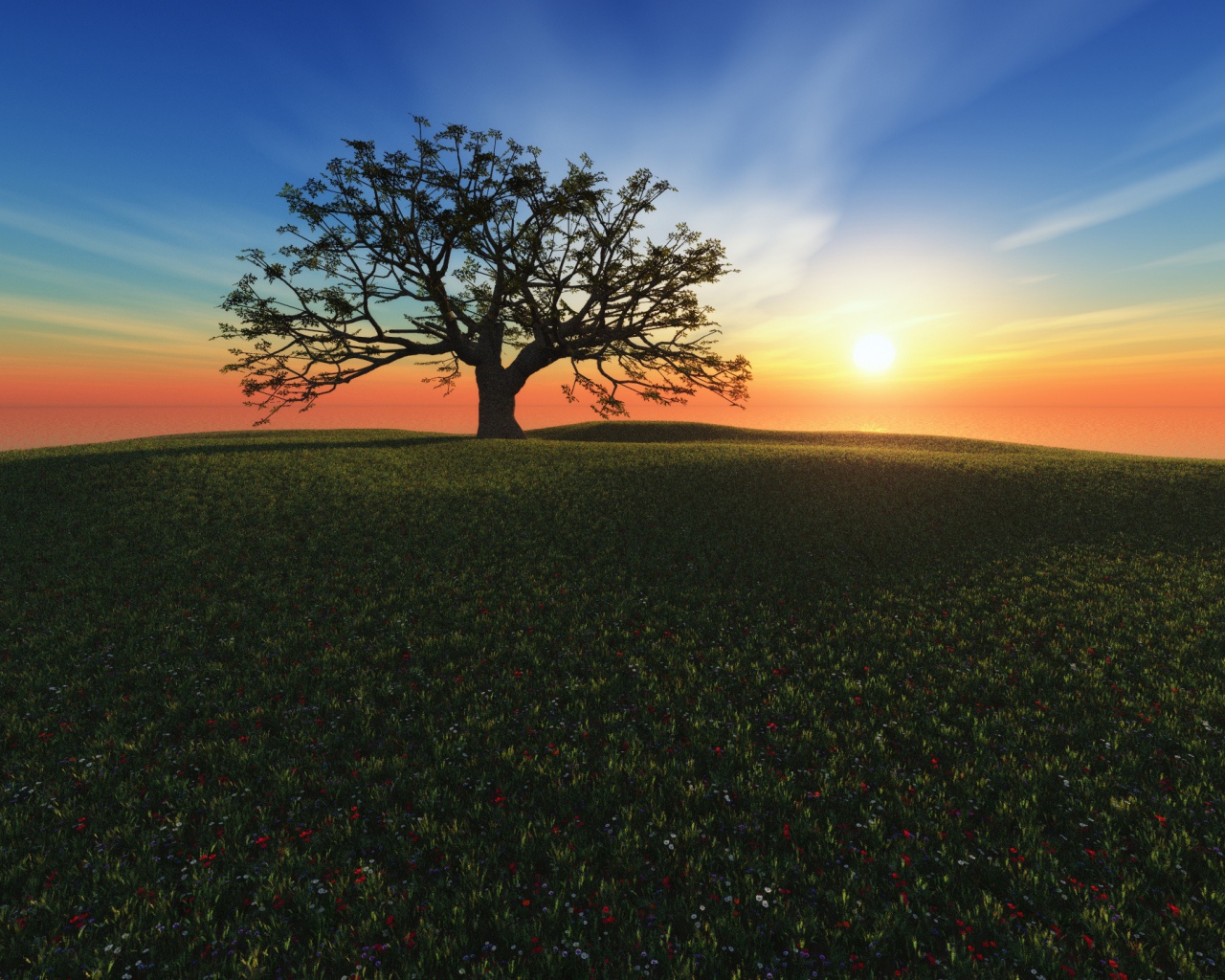 Закат на холме