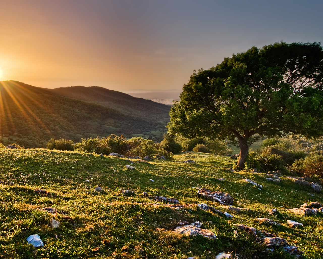 Закат в заповеднике