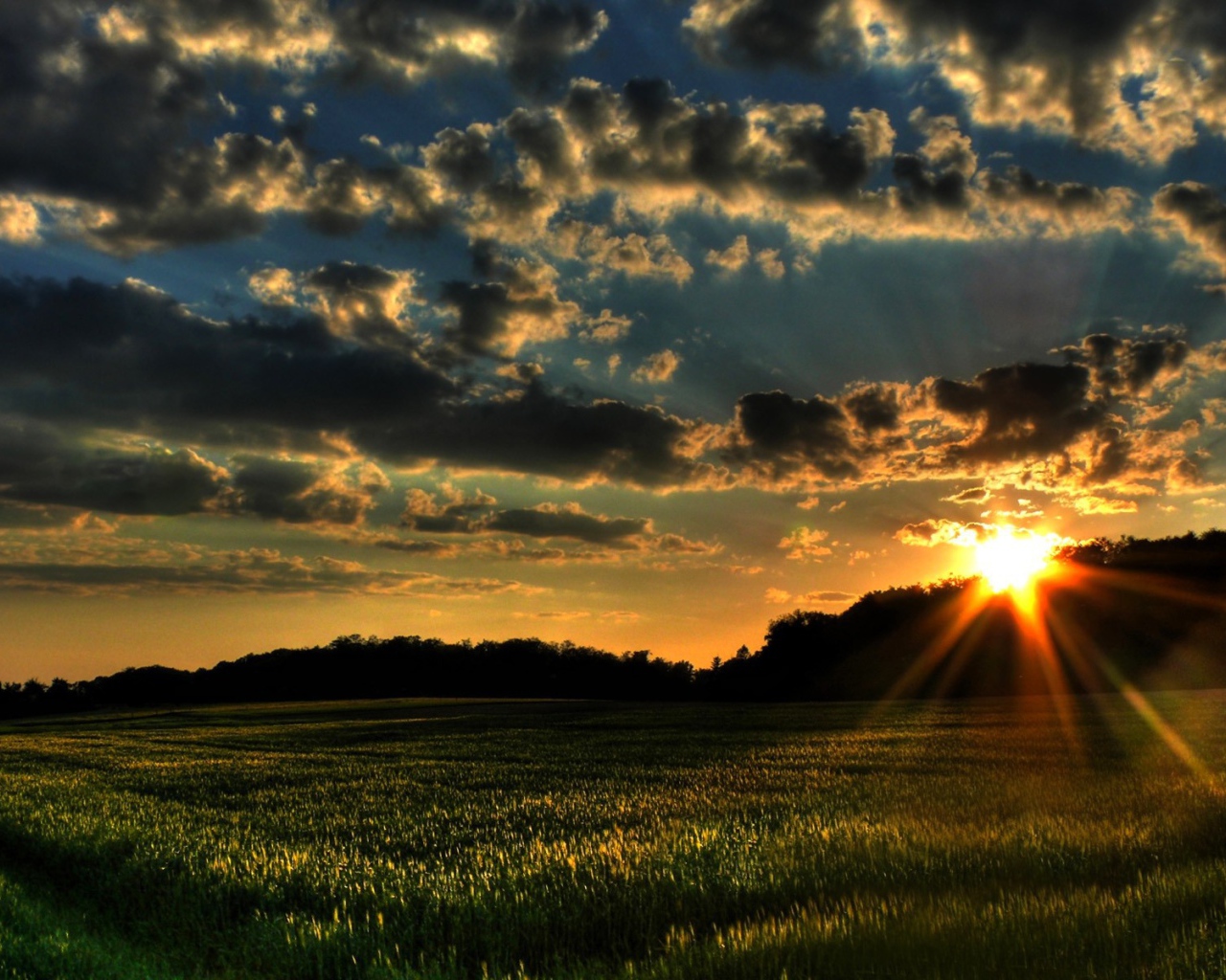 Закат на зеленом поле