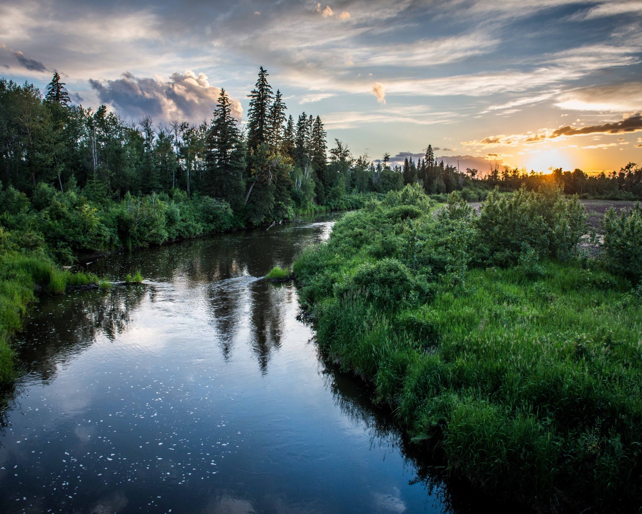 Закат над лесной рекой